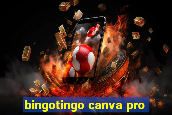 bingotingo canva pro